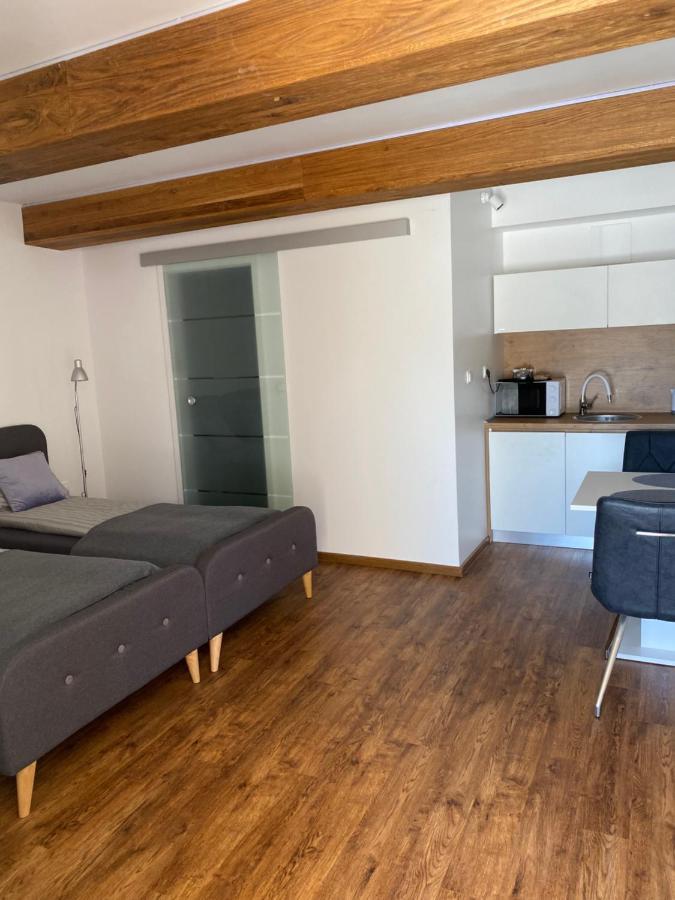 Maximo Apartments - Free Parking Марибор Экстерьер фото